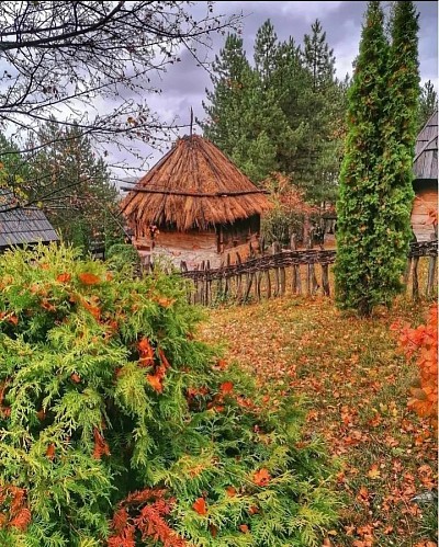 Sirogojno kao najpoznatije zlatiborsko selo i čuvar planinskih tradicija Zlatiborska idila među vjekovnim brvnarama u srcu Sirogojna Sva zlatiborska sela imaju dušu, ali Sirogojno je pravi planinski raj i muzej pod nebom Zlatiborska priroda koja grli autentične kuće u selu Sirogojno Nestvarni Zlatibor i prizor stare arhitekture koju čuva ovo zlatiborsko selo