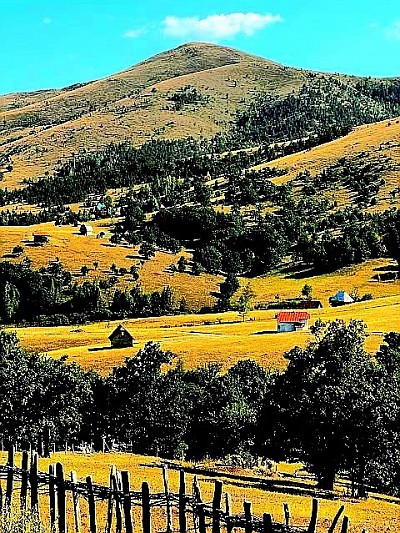 Kriva Reka kao zlatiborsko selo sa najljepšim prostranim pašnjacima Beskrajna zlatiborska priroda i sloboda u području Krive Reke Zlatiborska idila dok stada slobodno lutaju ovim planinskim rajem Sva zlatiborska sela imaju pašnjake, ali Kriva Reka je poseban doživljaj Planina Zlatibor i njena sela predstavljena kroz netaknutu ljepotu Krive Reke