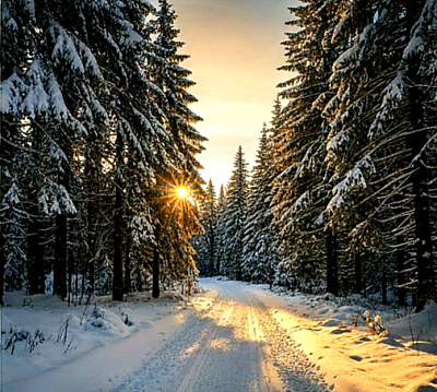 Tripkova kao jedinstveno zlatiborsko selo gdje se umjetnost i netaknuta priroda spajaju; zlatiborska priroda u Tripkovi s nestvarnim pogledom na planinsko jezero; zlatiborska idila u dvorištima Tripkove koja podsjećaju na najljepši planinski raj; sva zlatiborska sela imaju svoju priču, ali Tripkova je najumjetničkije zlatiborsko selo; Zlatibor i njegova skrivena mjesta poput Tripkove za potpuni mir i uživanje.