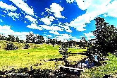 Vodice kao najljepši zlatiborski raj i najprepoznatljiviji krajolik ove planine, zlatiborska priroda u Vodicama sa rijekom Rzav koja se vijuga kroz planinsko polje, zlatiborska idila u Vodicama sa poznatim borovima koji su simbol svih zlatiborskih sela. Sva zlatiborska sela su posebna, ali Vodice nude najljepši planinski pogled na Zlatibor i njegov nestvaran mir koji možete pronaći samo u Vodicama.