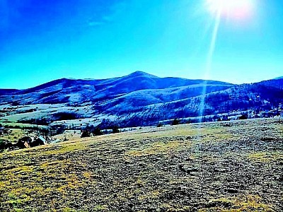 Golovo kao ušuškano zlatiborsko selo u kojem se čini da je vrijeme stalo u najljepšem smislu Zlatiborska priroda u selu Golovo sa pašnjacima koji podsjećaju na jedan od najljepših planinskih rajeva Zlatiborska idila na mirnim brdima Golova daleko od bilo kakve gradske gužve Sva zlatiborska sela imaju svoju ljepotu, ali Golovo nudi poseban mir i tišinu Zlatibor i njegovi voćnjaci koji krase svako domaćinstvo u ovom zlatiborskom selu