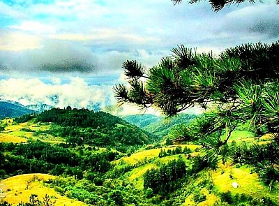 Mušvete kao zlatiborsko selo koje je pravi planinski raj za ljubitelje lokalnih delicija Zlatiborska priroda u selu Mušvete sa širokim vidikovcima i čistim vazduhom Zlatiborska idila u Mušvetama dok se miris dima širi iz tradicionalnih sušara Sva zlatiborska sela imaju svoju ljepotu, ali Mušvete nude poseban spoj tradicije i prirode Zlatibor i njegovi vrijedni domaćini koji ovo zlatiborsko selo čine posebnim