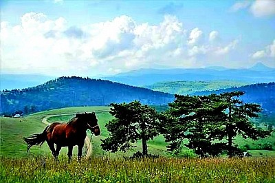 Ruralni i moderni turizam