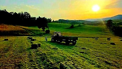 Zlatiborsko zdravlje